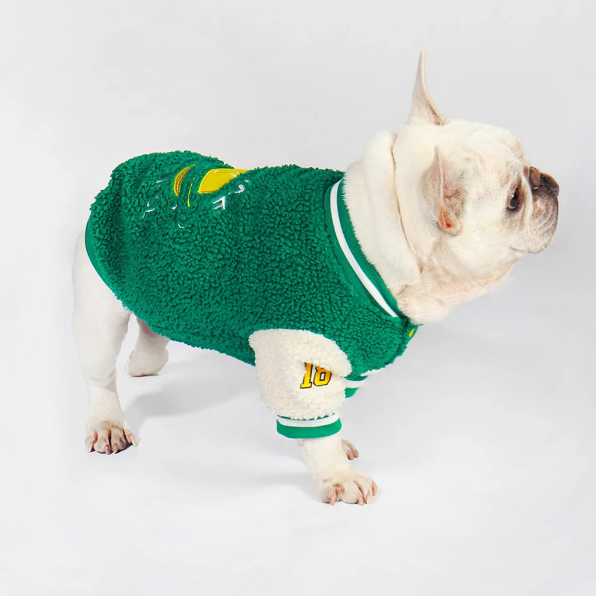 Green fleece-lined dog winter coat shown on a large dog, sizes include L, XL, XXL, 3XL, and 4XL.