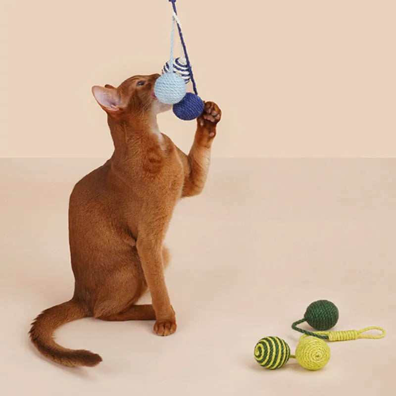 Cat toy set with teaser stick and colourful catnip balls on blue background