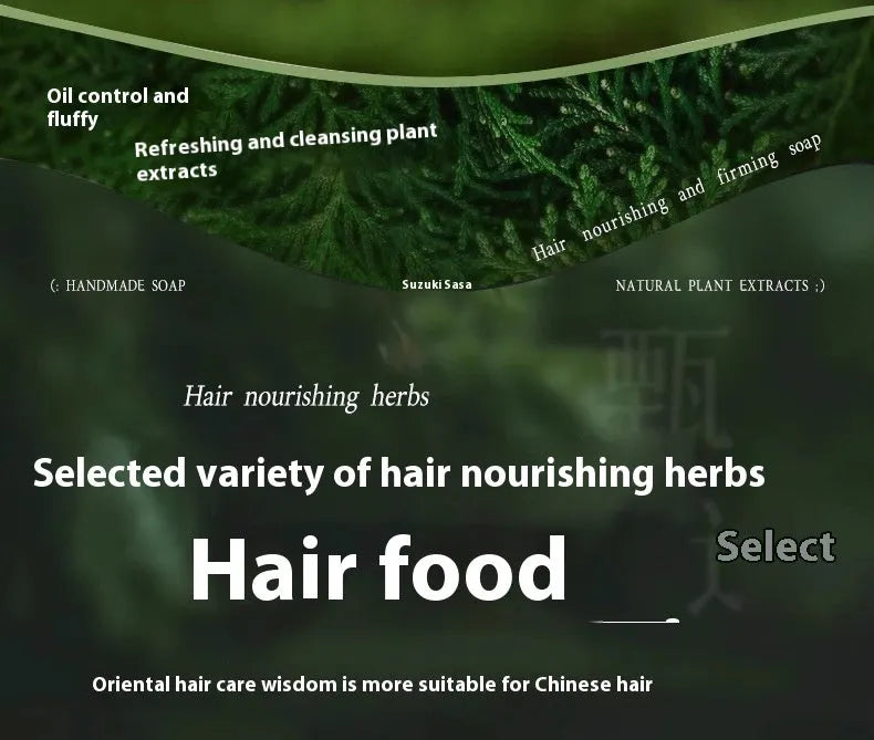Handmade Chinese Arborvitae Twig shampoo soap bar, 120g, with Polygonum Multiflorum for hair care.