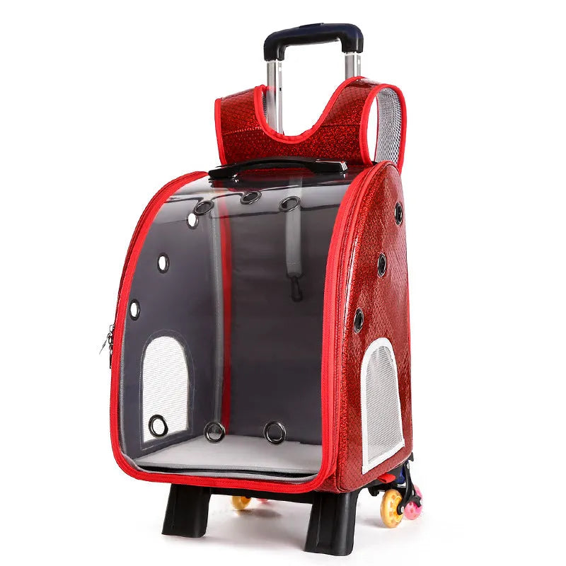 Transparent folding pet trolley with shoulder strap in blue colour for small dog transport