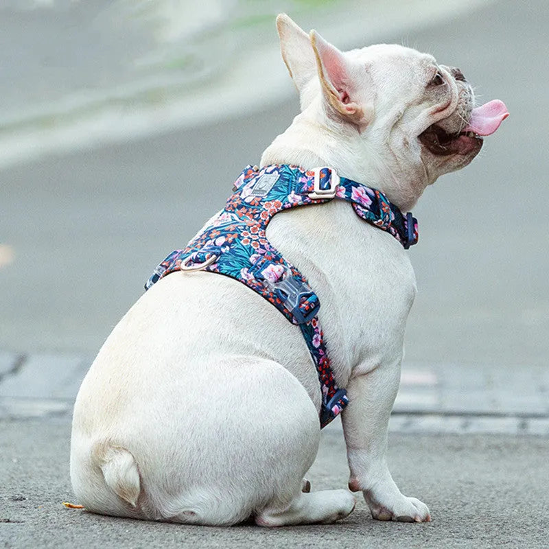 Floral pattern cotton dog harness chest strap shown in red, blue and green colour options