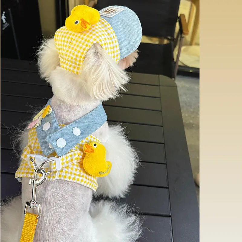 Pet harness and leash set with wire rope pulling rope and three-piece outfit including cute hat