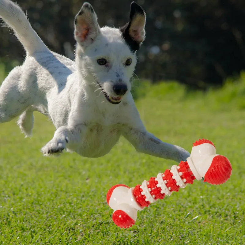 Blue bone-shaped interactive dog toy for small breeds with treat holder compartment