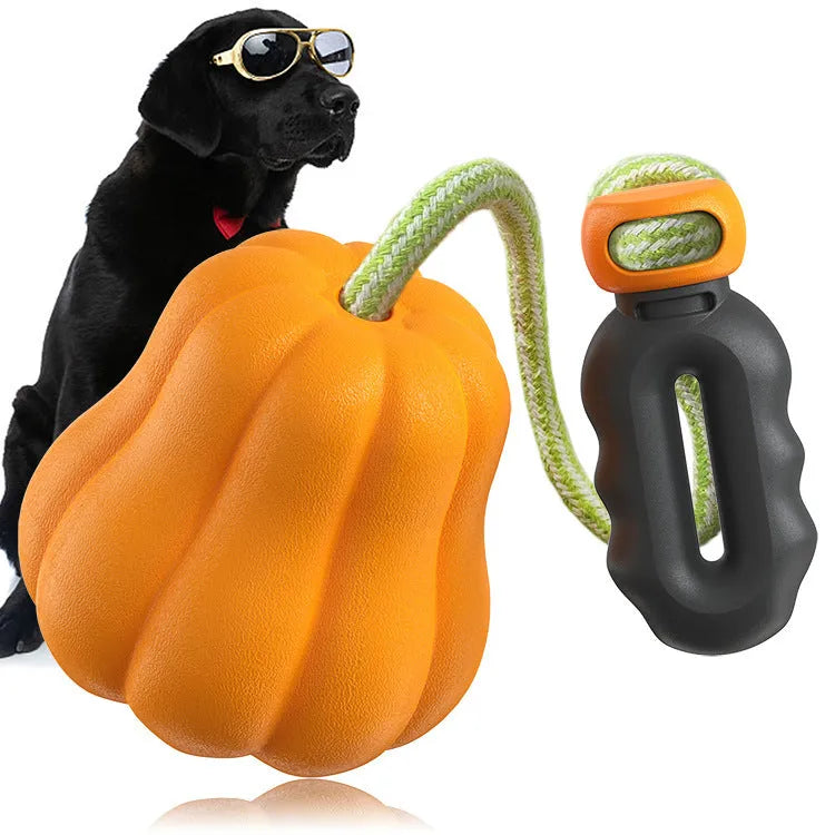 Orange plastic molar-shaped dog toy with rope attachment for chewing and fetch games