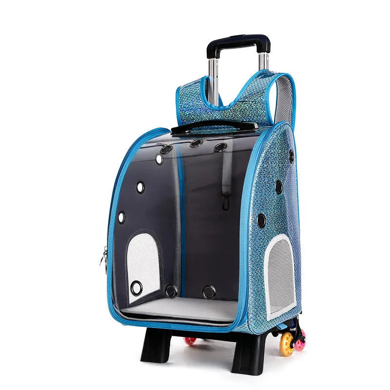Transparent folding pet trolley with shoulder strap in blue colour for small dog transport