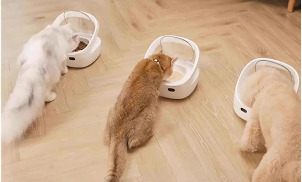 White NutriCare smart cat feeder with anti-stealing collar, food bowl, ice box, and charging cable set