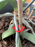 Colourful cat-shaped plastic plant clip for garden stem support