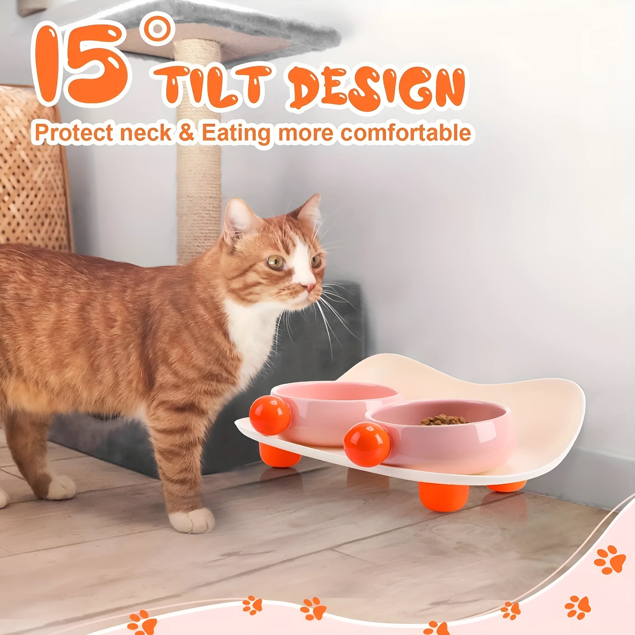 Double ceramic pet bowl set in raised design with non-slip support for small dogs and cats
