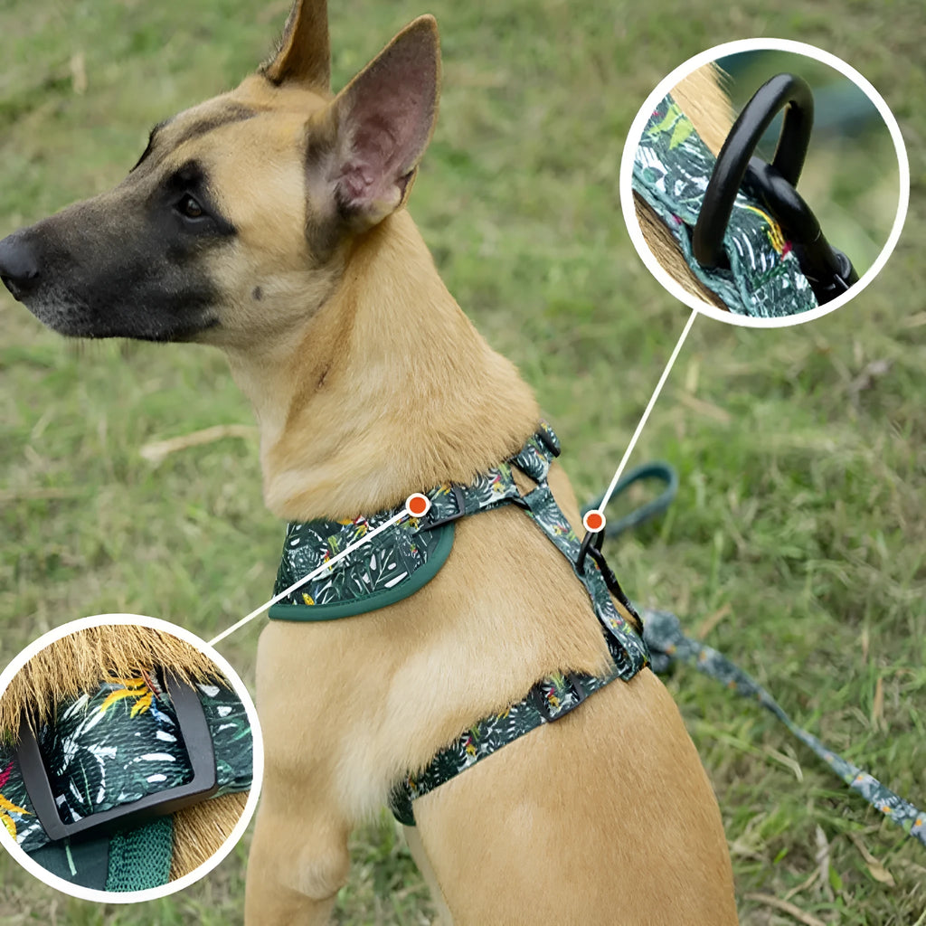 Six-piece dog harness set showing cloth vest, leash, collar, waste bag, bow tie, and scarf laid out