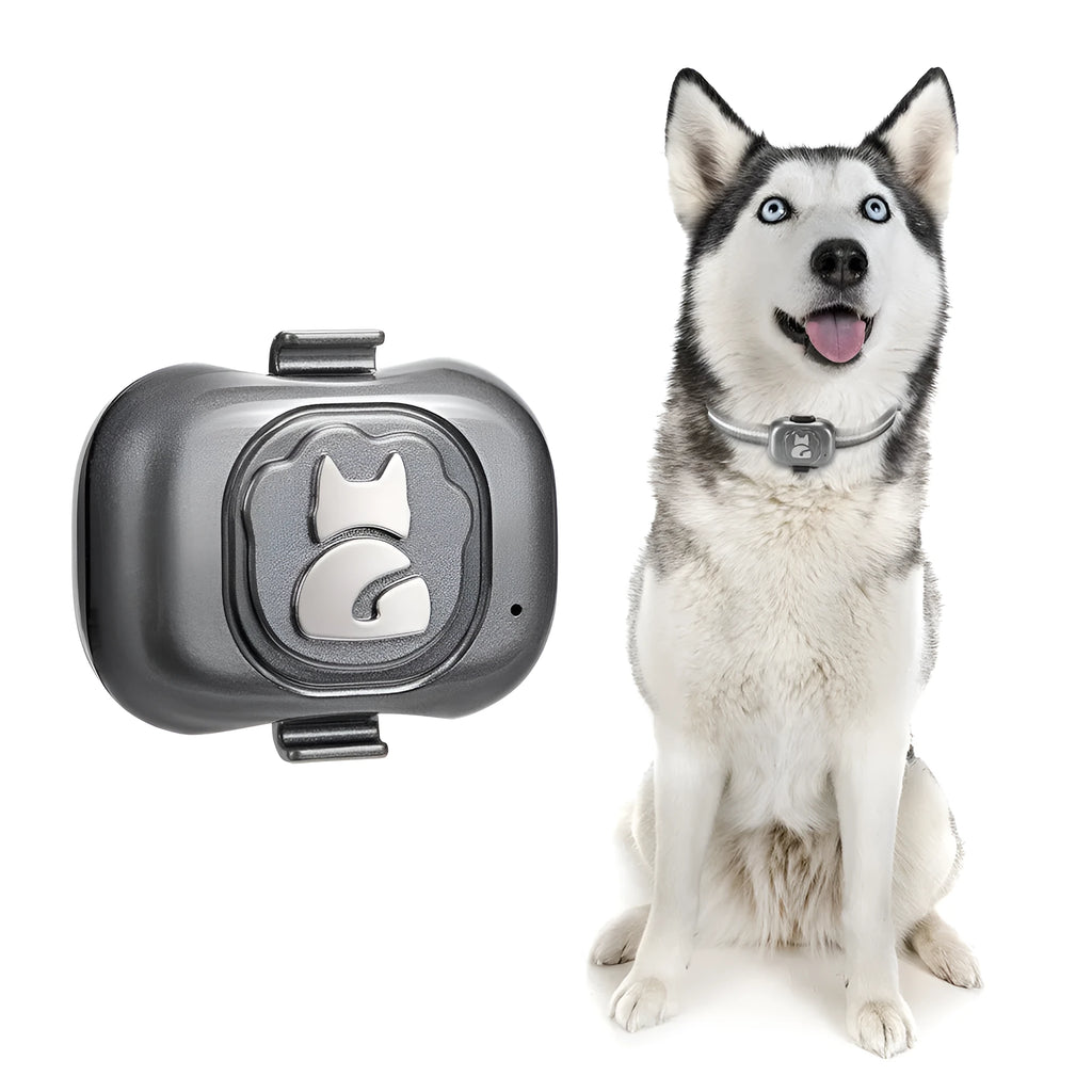 Black pet GPS locator with hanging rope attachment for collar mounting