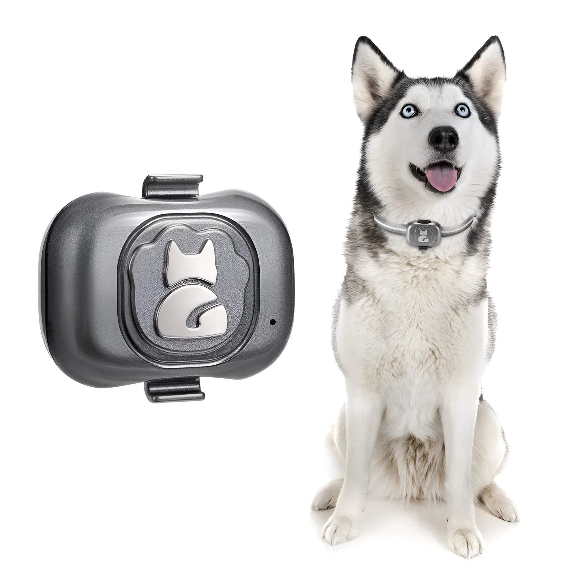 Black pet GPS locator with hanging rope attachment for collar mounting
