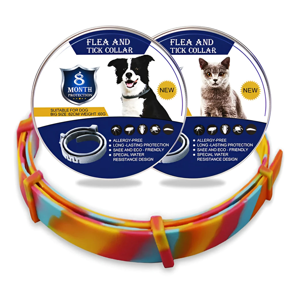Rainbow coloured plastic flea collar for pets shown in cat and dog style options.