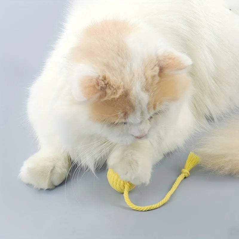 Green cat toy ball with a built-in rope and bell in a 6cm size.