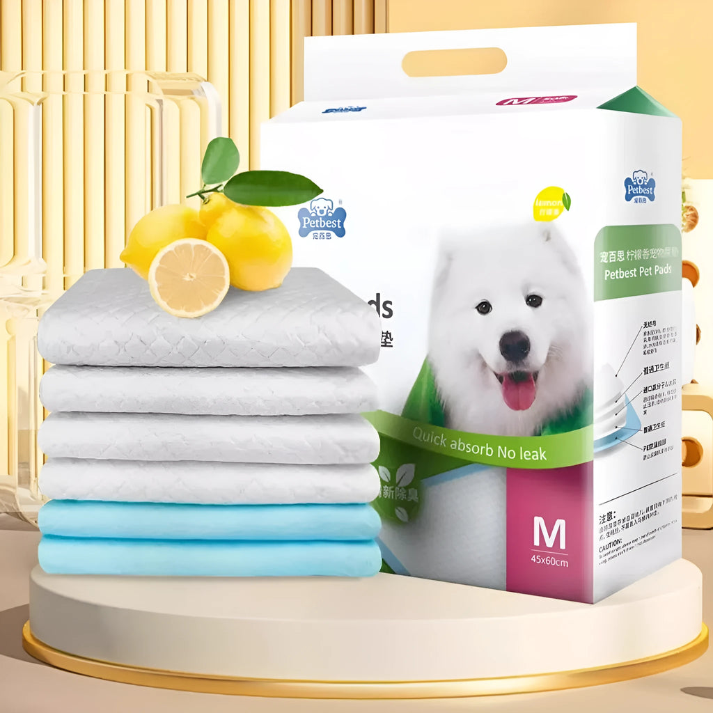 Dog urine pads in multiple sizes with adhesive backing and bamboo charcoal options