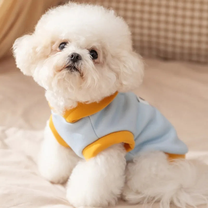 Autumn winter dog hoodie with cute cartoon bear design, blue and yellow, sizes XS to XXL for small to medium pets