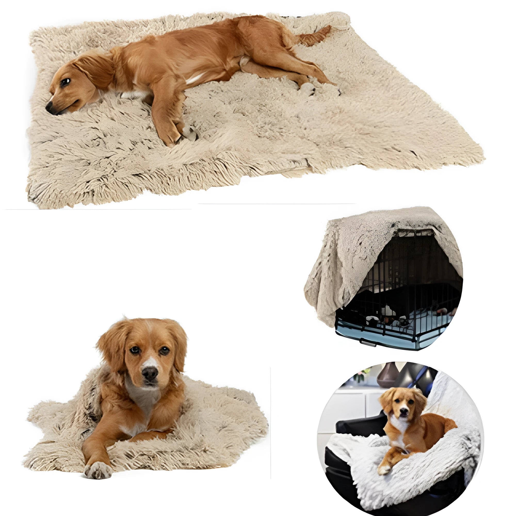 Soft long plush dog blanket in dark grey, sizes S M L shown next to a large dog.