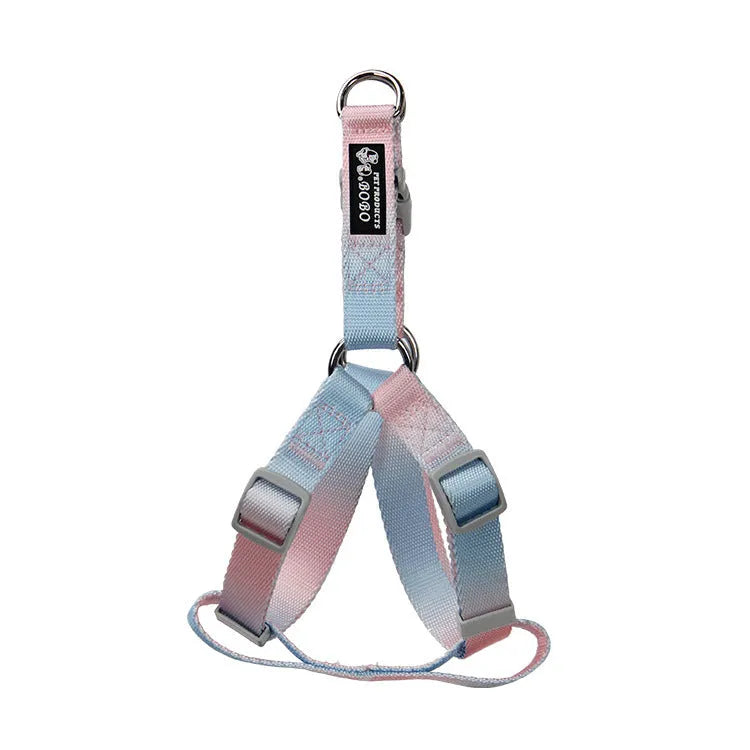 Gradient colour nylon dog lead and adjustable chest harness set for small or medium dogs.
