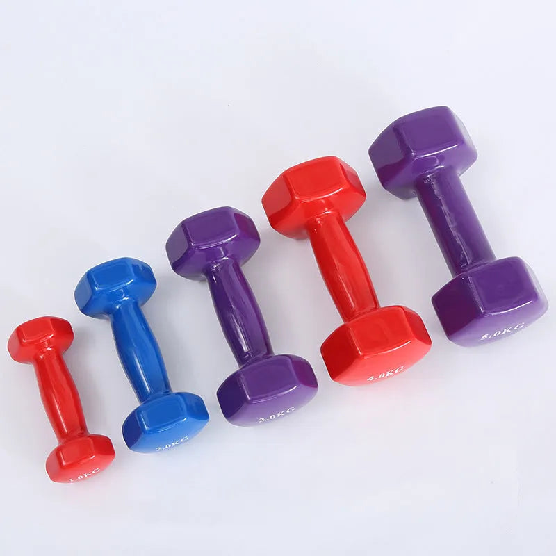 Coloured plastic coated fitness dumbbell available in multiple weights for home yoga and aerobics