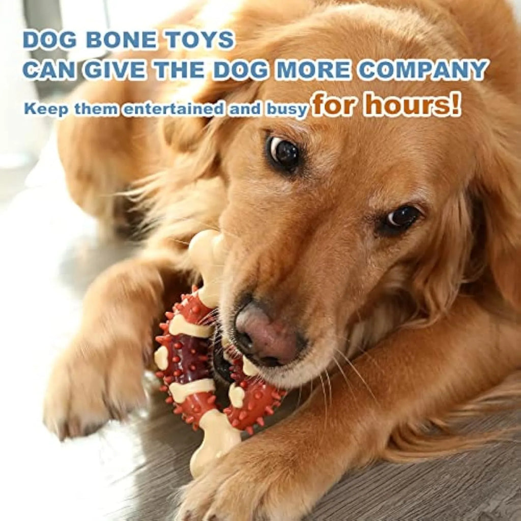 Natural rubber bone-shaped dog dental molar chew toy for teeth grinding shown in two size options