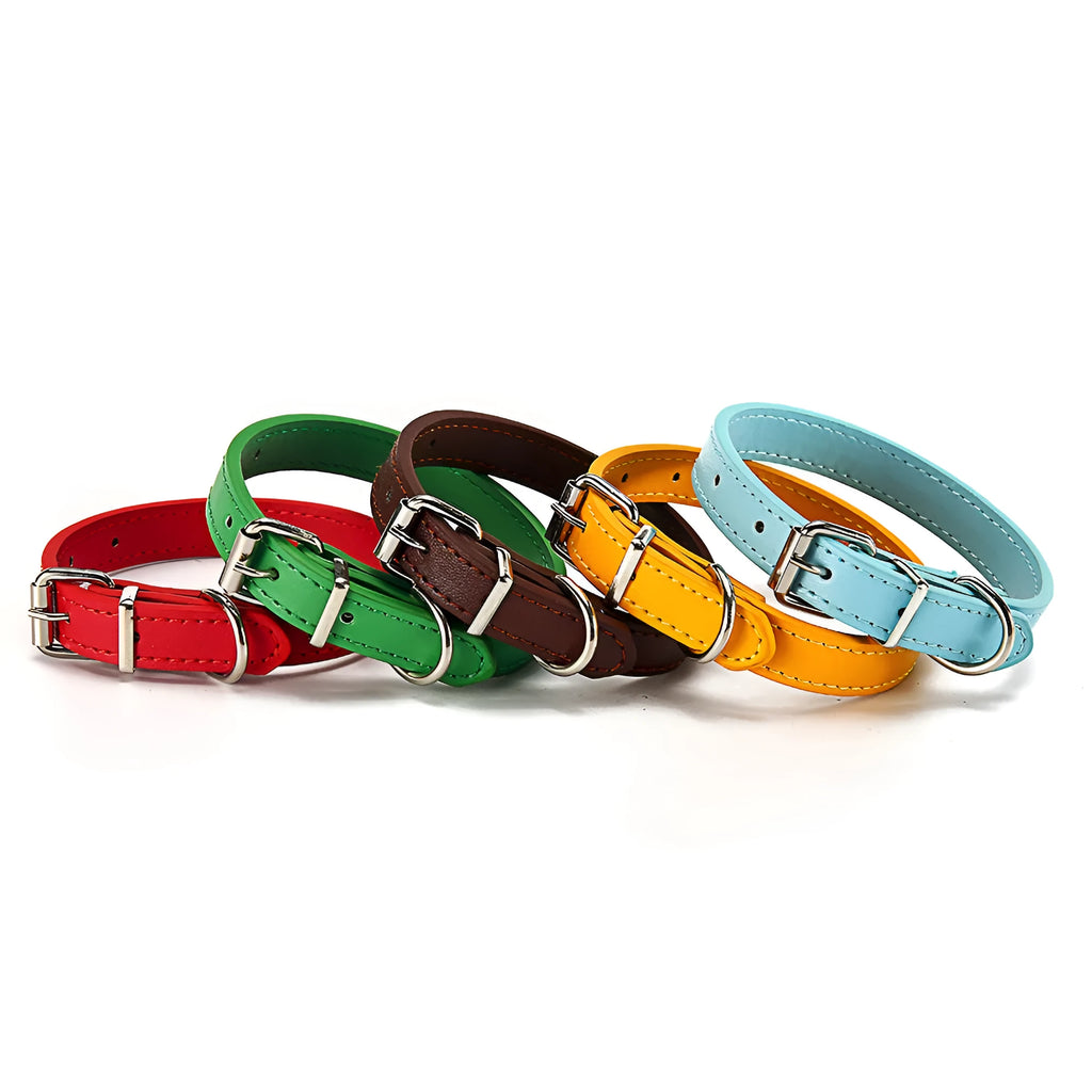 PU dog collar in S 1.0*30 and M 1.5*30 sizes, shown in Coffee, Sky blue, gold, green, and red colour options.