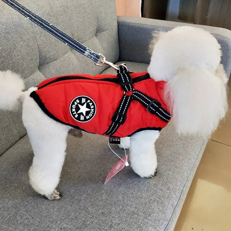 Red waterproof dog coat with a harness hole on a dog, showing the water-resistant fabric and size fit.