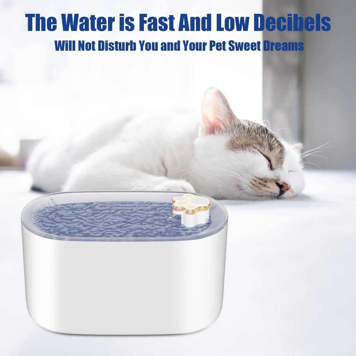 Berlin blue coloured 3-litre pet water fountain with filter and LED light indicator on a floor.