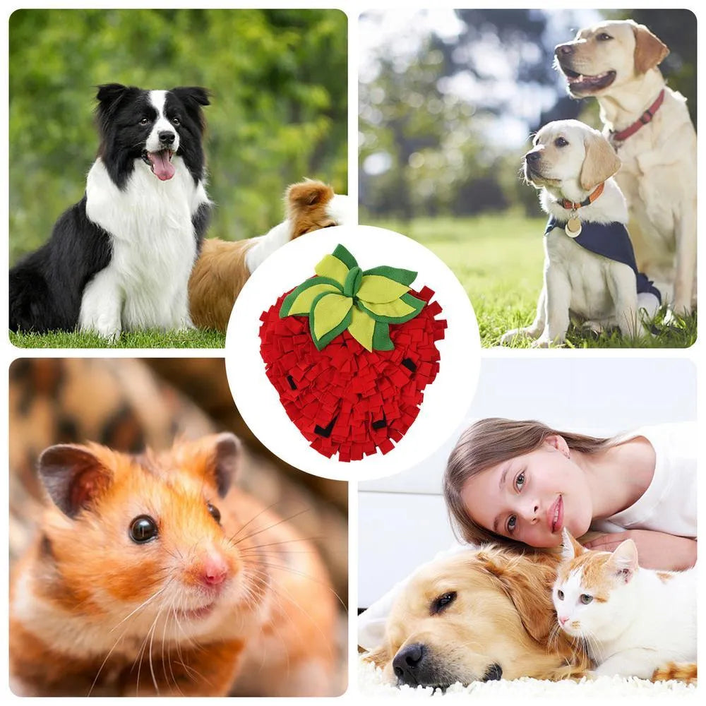Red and green strawberry-shaped pet sniffing mat for dogs cats slow feeding forage activity