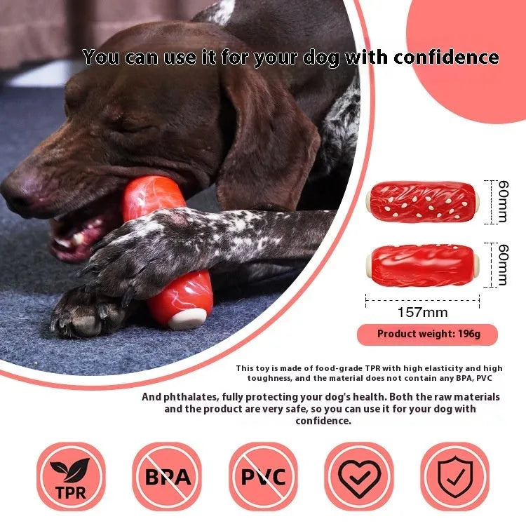 Plastic molar rod dog chew toy with glue toothbrush design and hollow treat compartment in primary colours