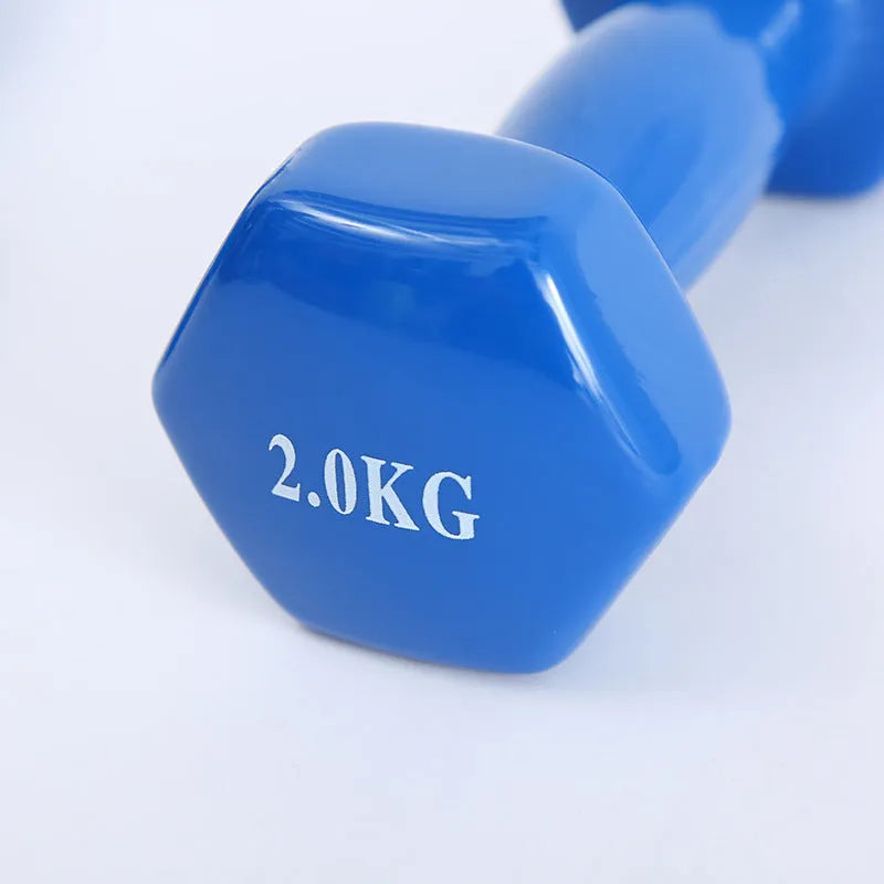 Coloured plastic coated fitness dumbbell available in multiple weights for home yoga and aerobics
