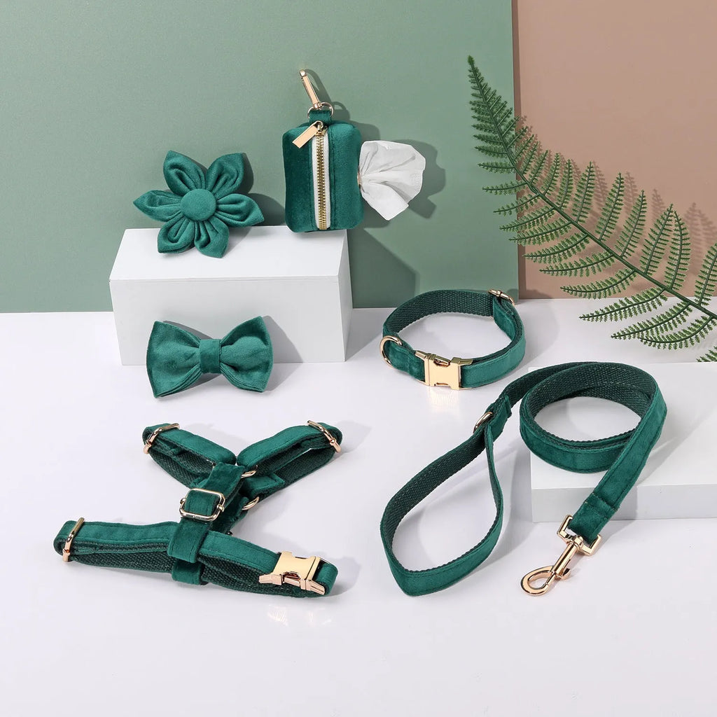 Velvet pet collar and traction rope set with chest strap and bow tie accessory