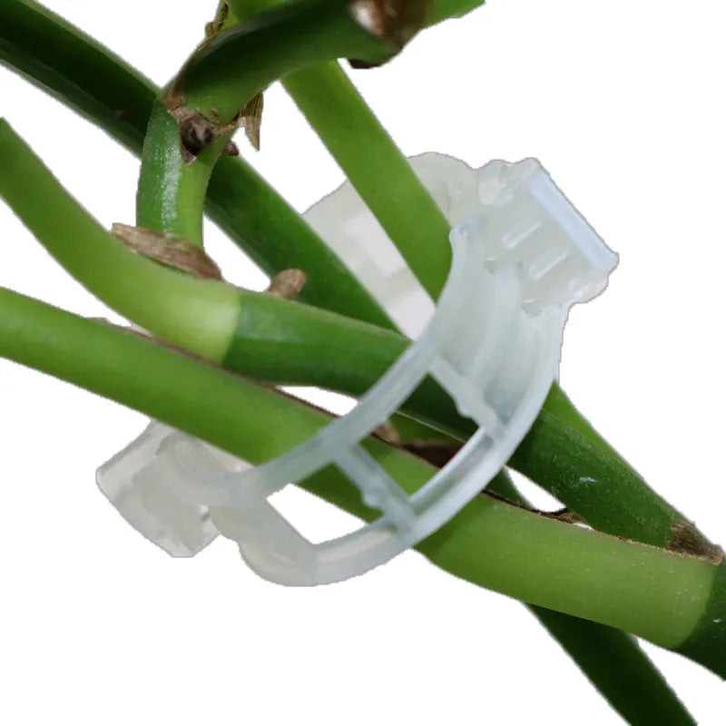 A set of 50 plastic tomato plant grafting clips, shown in a random colour mix, for securing garden vines.