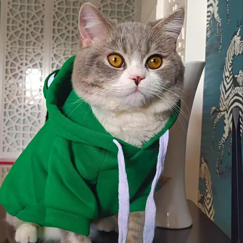 Green frog costume hoodie on a small dog, showing the four-leg design and hood.