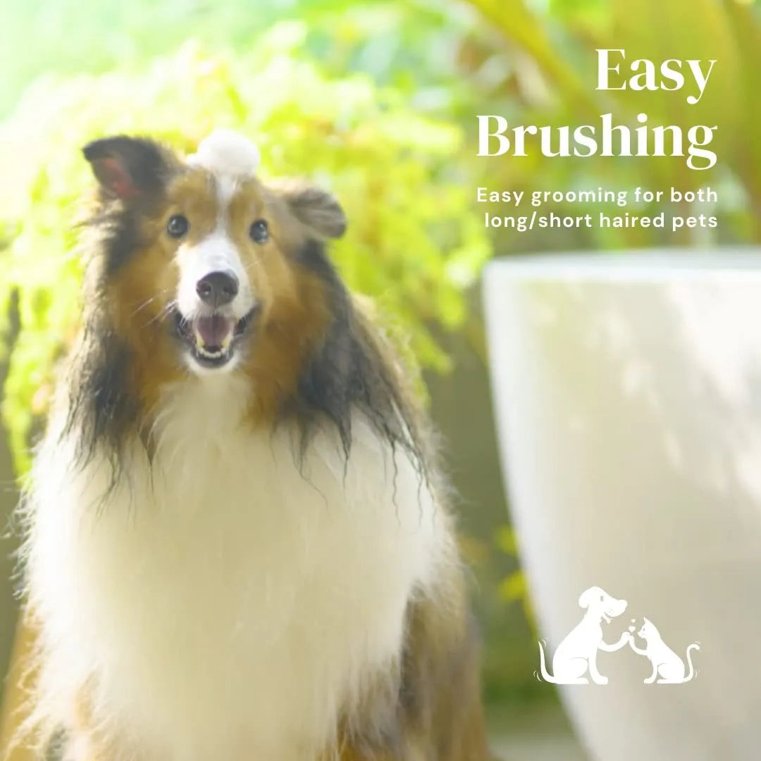 Blue self-cleaning slicker brush for dogs and cats with stainless steel pins and a rubber handle.