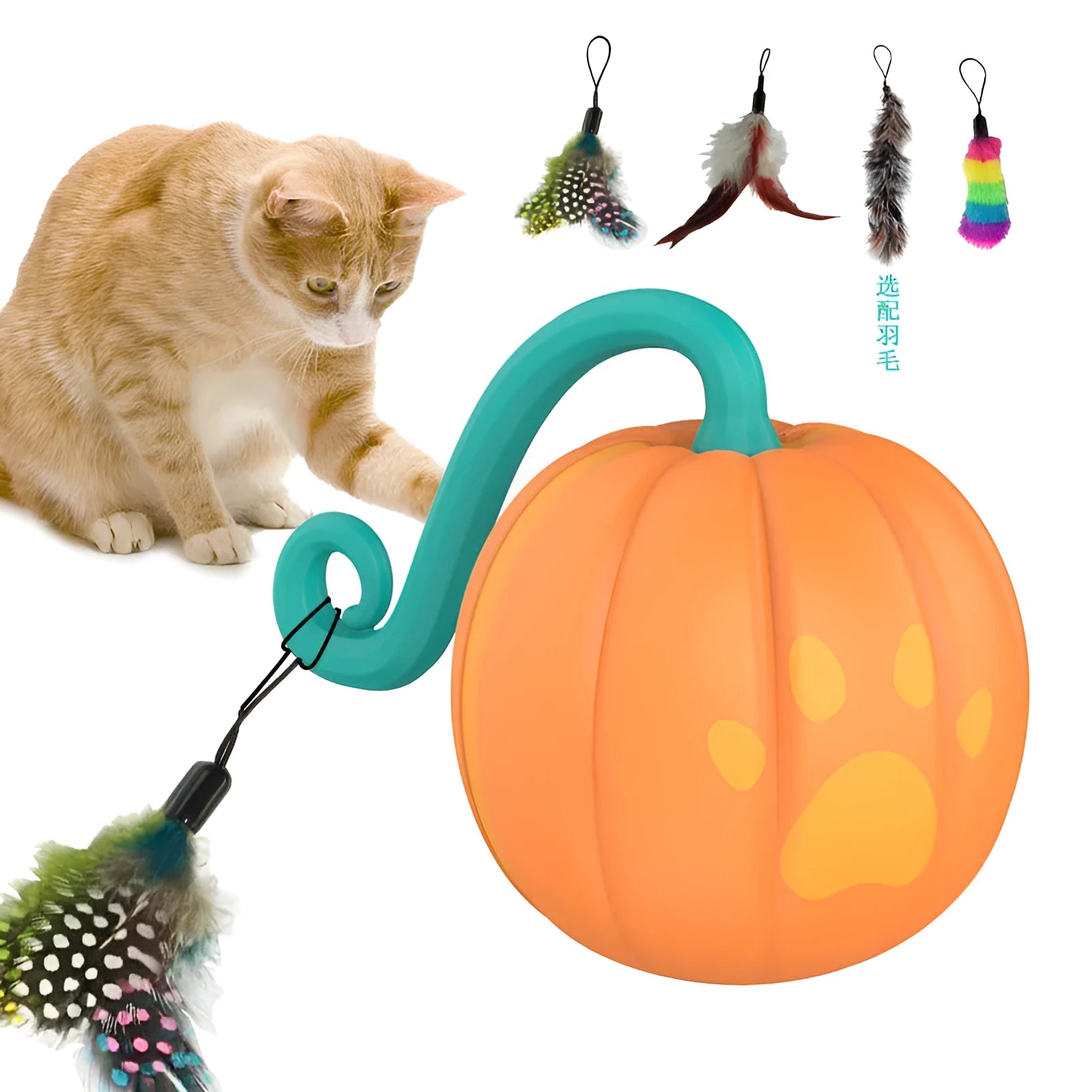 Electric cat toy with luminous rolling ball in pumpkin and watermelon colour designs