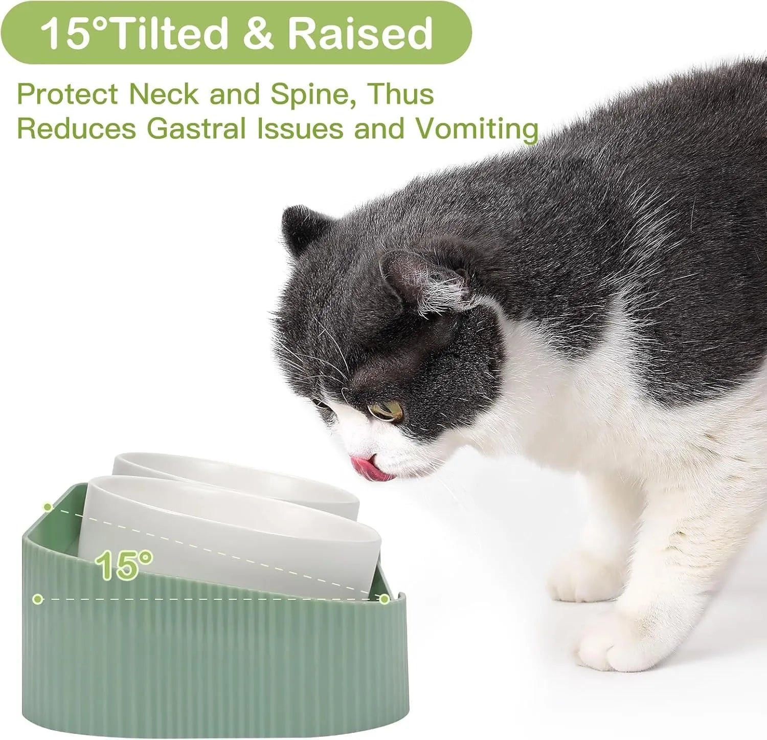 Green ceramic elevated cat bowls with 15 degree tilt on non-slip base