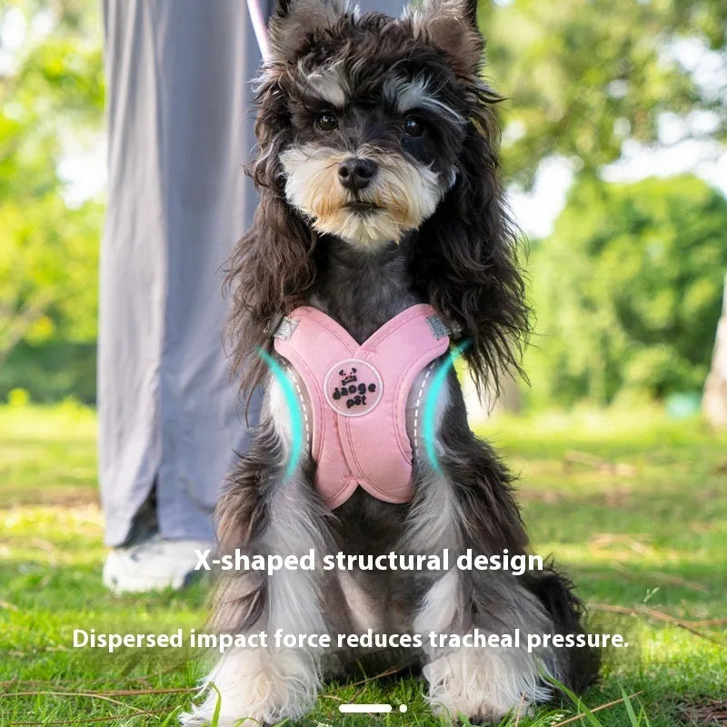 Polyester dog vest and rope leash set in blue, green, pink, or yellow colours