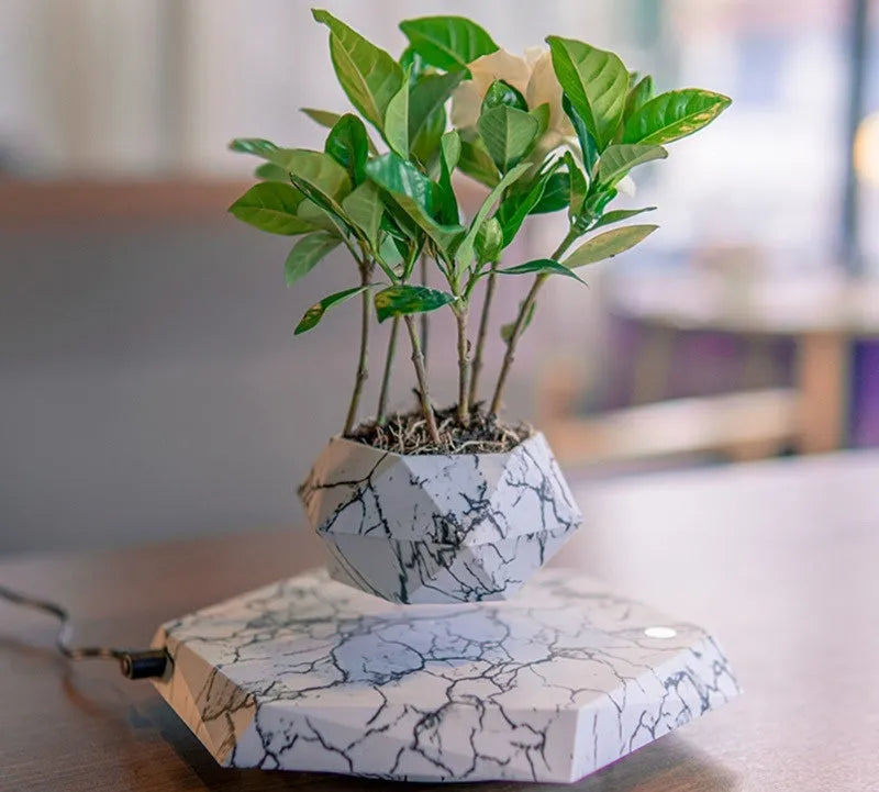 Marble colour magnetic levitating plant pot floating and rotating a small bonsai plant