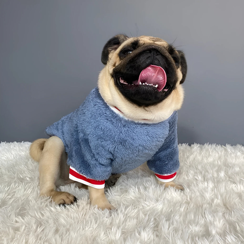 Blue cotton dog sweater in size S to XXL, casual pet jumper for small to large dogs