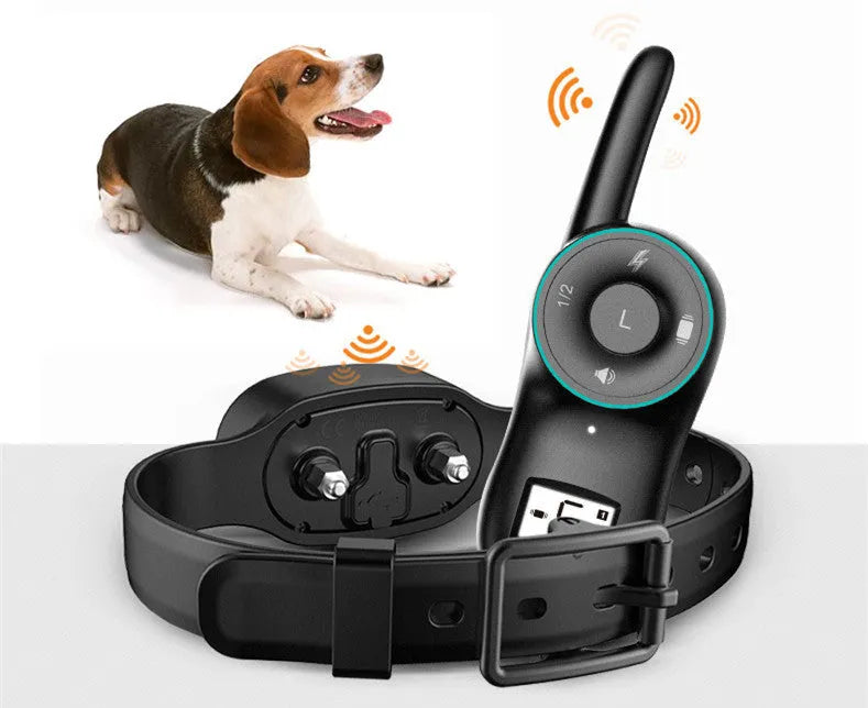Black remote dog training collar with transmitter and adjustable strap on a grey background.