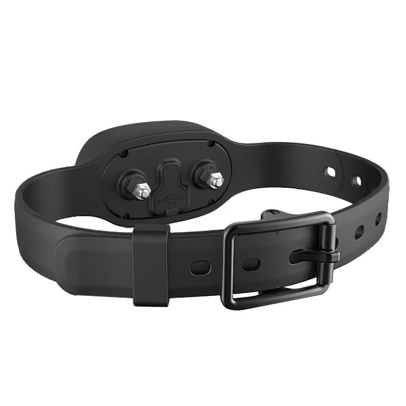 Black remote dog training collar with transmitter and adjustable strap on a grey background.