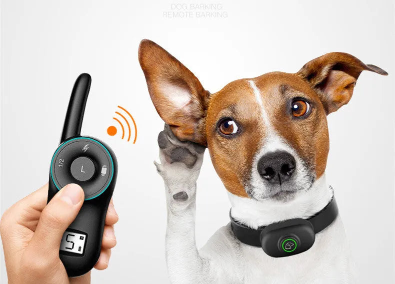 Black remote dog training collar with transmitter and adjustable strap on a grey background.