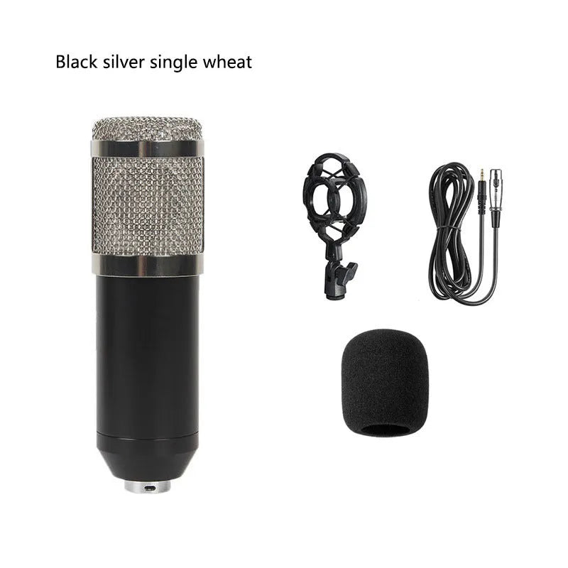 BM800 condenser microphone kit with cantilever bracket, shock mount, and pop filter in black colour