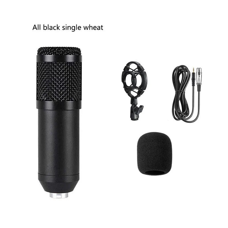 BM800 condenser microphone kit with cantilever bracket, shock mount, and pop filter in black colour