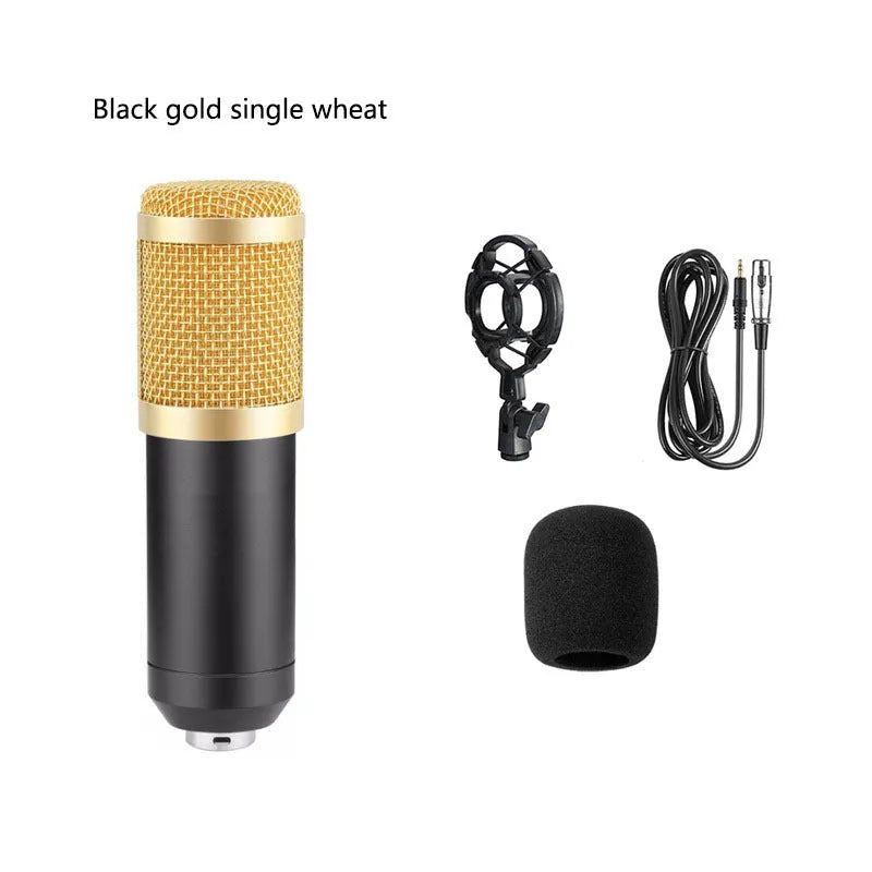 BM800 condenser microphone kit with cantilever bracket, shock mount, and pop filter in black colour