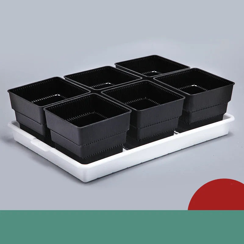 Meishi black and white resin succulent flower pots arranged on a matching plastic tray.