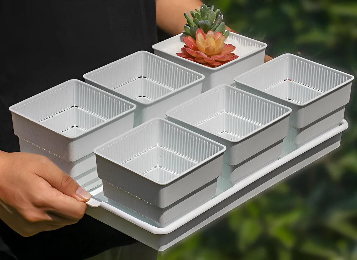 Meishi black and white resin succulent flower pots arranged on a matching plastic tray.