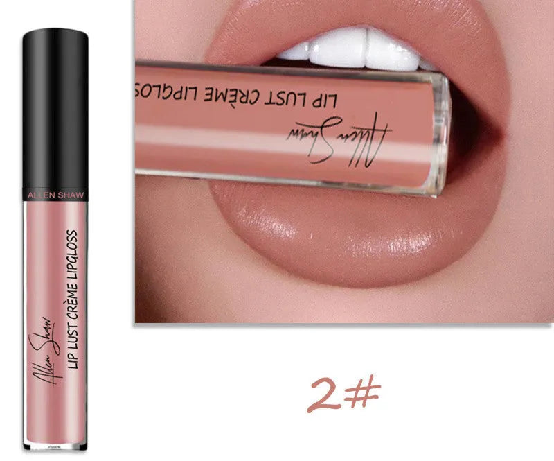 Silky cream texture lip gloss tube in various colour options including a 12-piece set.