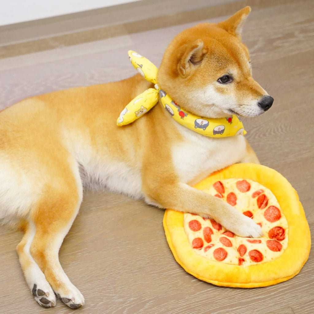 Yellow teddy pizza dog chewing toy with bone shape and squeaker