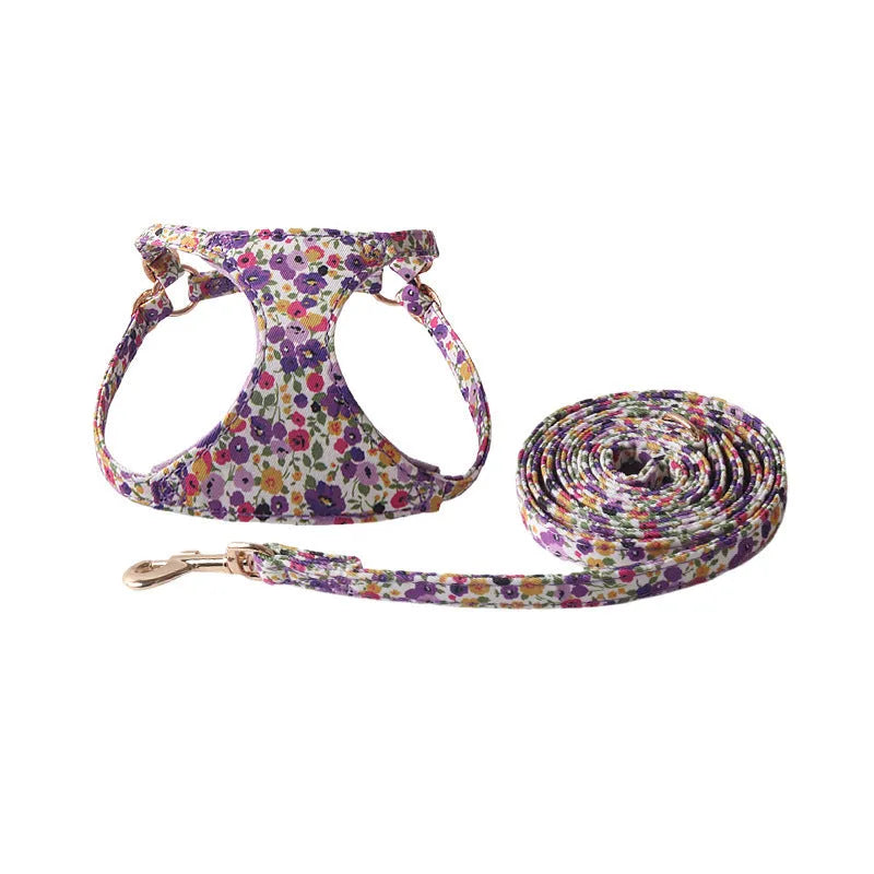 Cloth dog harness and leash set in orange colour on a dog