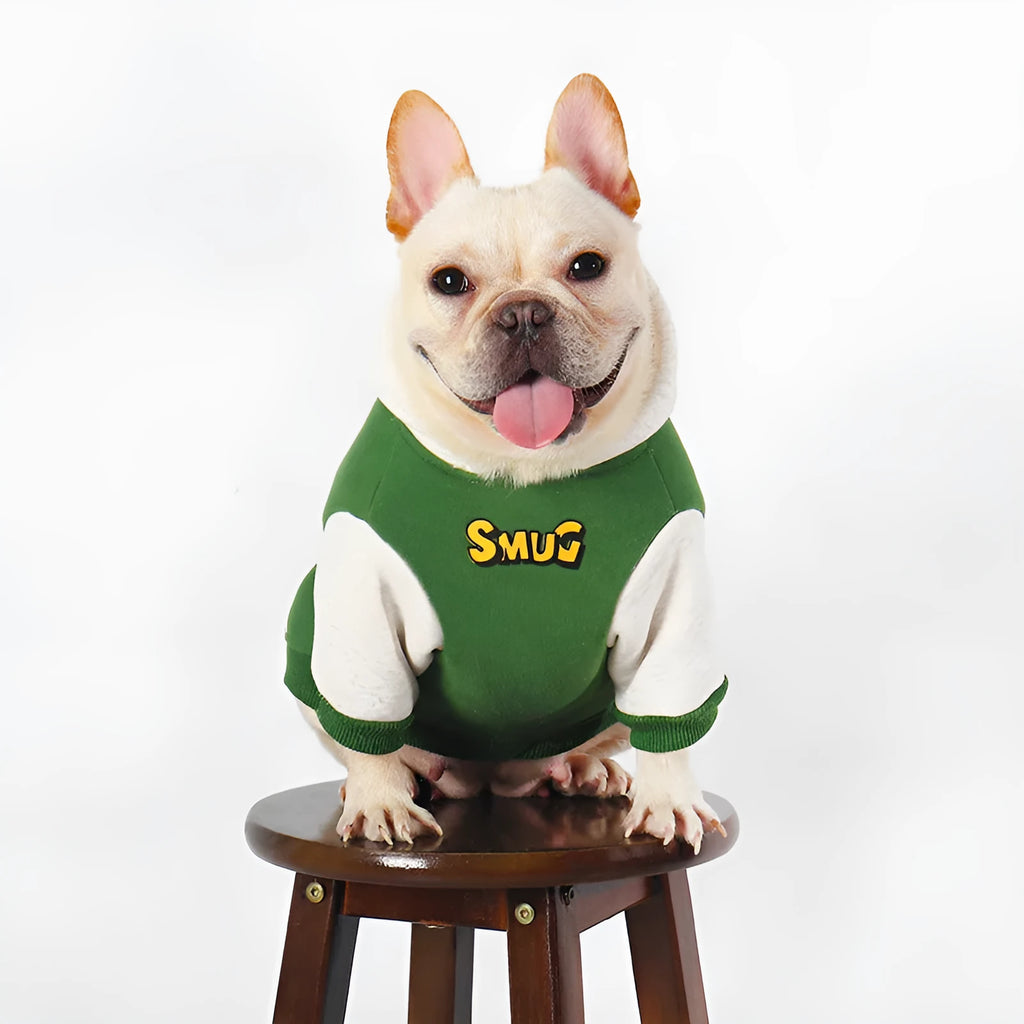Green cotton hoodie for large dogs, sizes L XL 2XL 3XL 4XL, for autumn and winter wear.